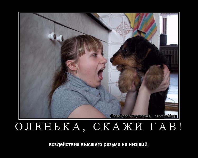 Котоматрица: Оленька, скажи ГАВ! воздействие высшего разума на низший.