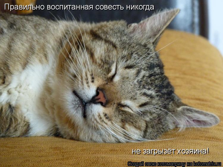 не загрызёт хозяина! Правильно воспитанная совесть никогда... Котоматрица: не загрызёт хозяина! Правильно воспитанная совесть никогда