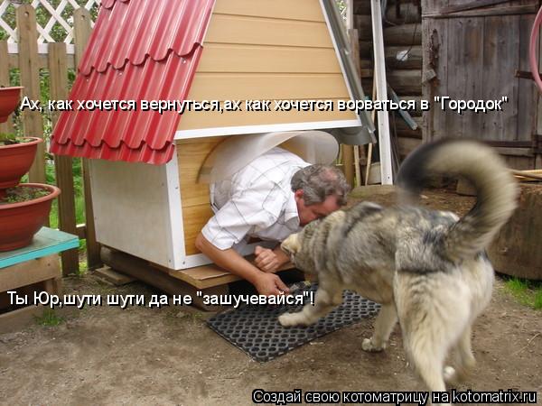 Ах, как хочется вернуться,ах как хочется ворваться в "Городок" Ты Юр,шути шути да не "зашучевайся"!... Котоматрица: Ах, как хочется вернуться,ах как хочется ворваться в "Городок" Ты Юр,шути шути да не "зашучевайся"!