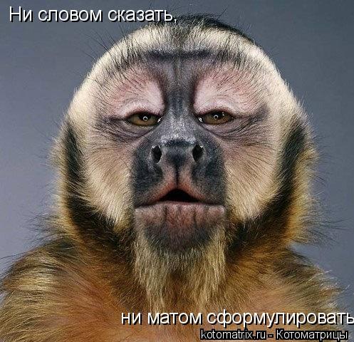 Ни словом сказать, ни матом сформулировать... Котоматрица: Ни словом сказать, ни матом сформулировать