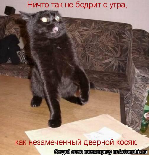 Ничто так не бодрит с утра, как незамеченный дверной косяк.... Котоматрица: Ничто так не бодрит с утра, как незамеченный дверной косяк.