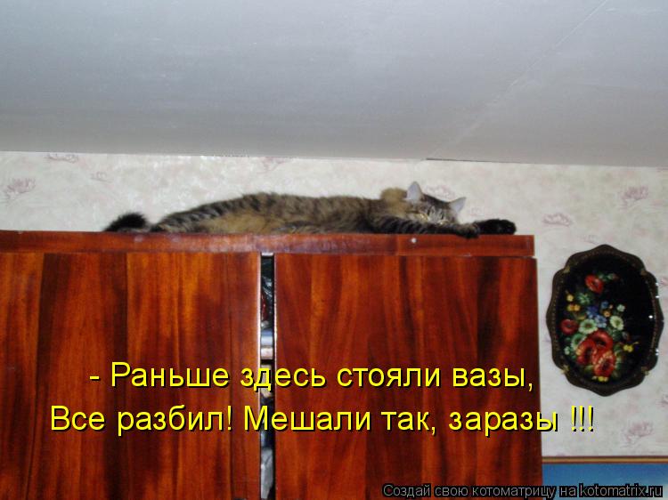 - Раньше здесь стояли вазы, Все разбил! Мешали так, заразы !!!... Котоматрица: - Раньше здесь стояли вазы, Все разбил! Мешали так, заразы !!!