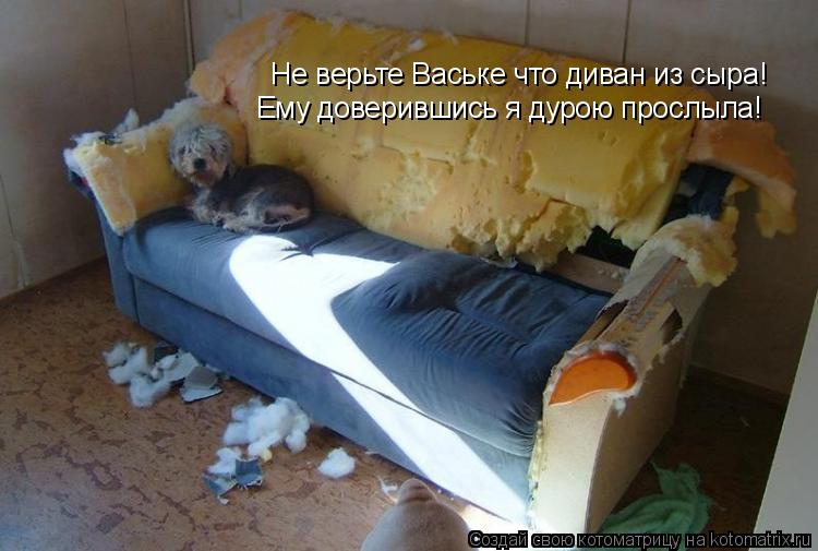 Не верьте Ваське что диван из сыра! Ему доверившись я дурою прослыла!... Котоматрица: Не верьте Ваське что диван из сыра! Ему доверившись я дурою прослыла!