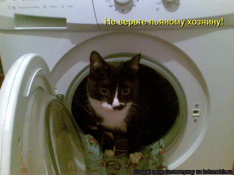 Не верьте пьяному хозяину!... Котоматрица: Не верьте пьяному хозяину!