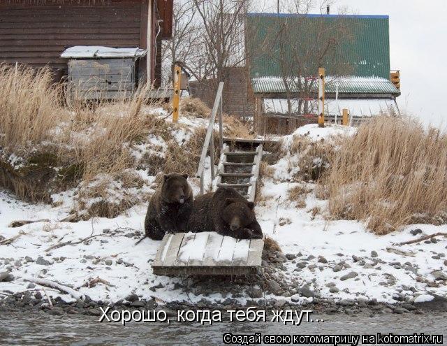 Хорошо, когда тебя ждут...... Котоматрица: Хорошо, когда тебя ждут...