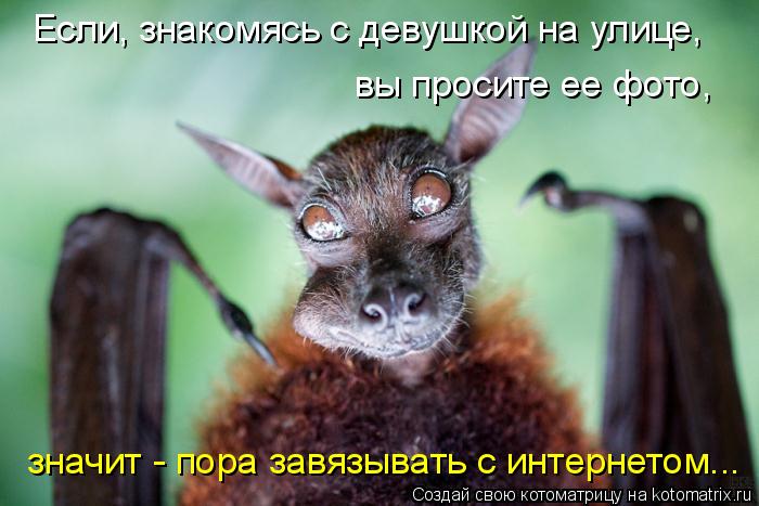 Котоматрица: Если, знакомясь с девушкой на улице,  вы просите ее фото,  значит - пора завязывать с интернетом...