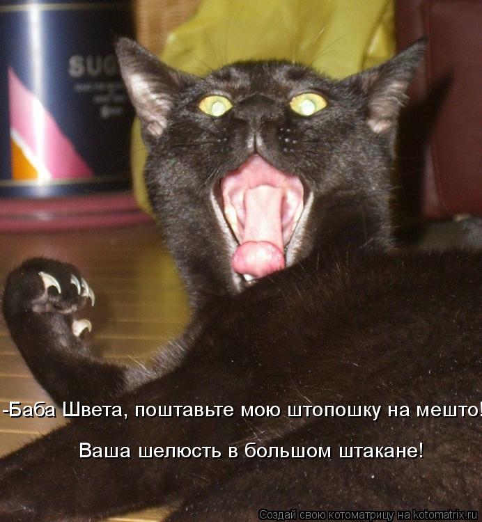 Котоматрица: -Баба Швета, поштавьте мою штопошку на мешто! Ваша шелюсть в большом штакане!