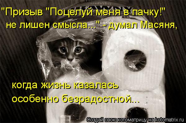 Котоматрица: не лишен смысла..." - думал Масяня,  "Призыв "Поцелуй меня в пачку!"  когда жизнь казалась  особенно безрадостной...