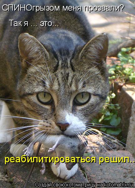 Котоматрица: СПИНОгрызом меня прозвали?  Так я ... это... реабилитироваться решил...