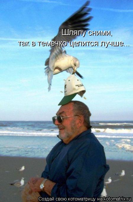 Котоматрица: Шляпу сними, так в темечко целится лучше...