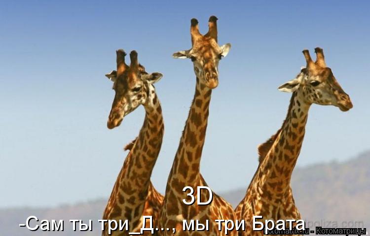 Котоматрица: 3D -Сам ты три_Д..., мы три Брата