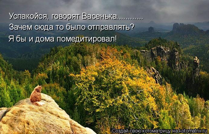 Котоматрица: Успакойся, говорят Васенька............ Зачем сюда то было отправлять? Я бы и дома помедитировал!