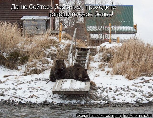Котоматрица: Да не бойтесь бабоньки, проходите полощите своё бельё!