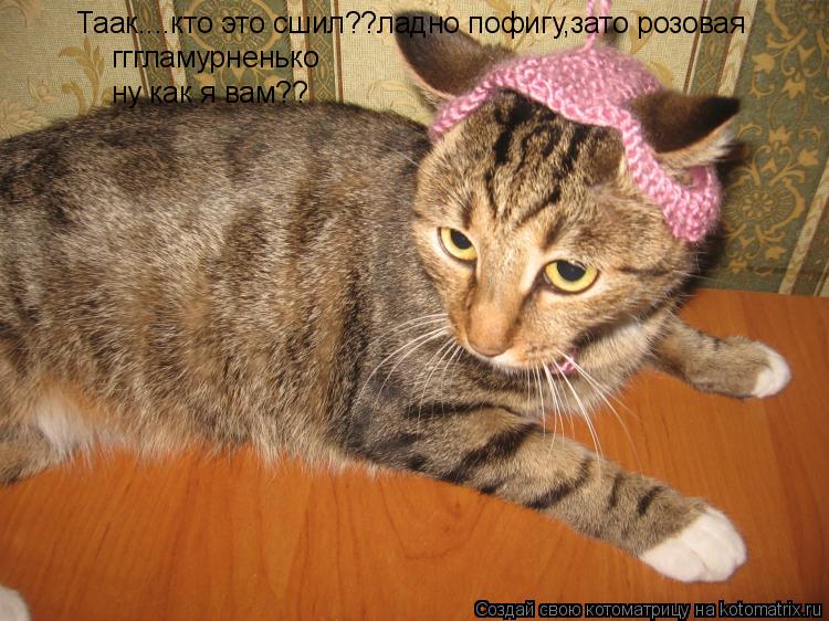 Котоматрица: Таак....кто это сшил??ладно пофигу,зато розовая гггламурненько ну как я вам??
