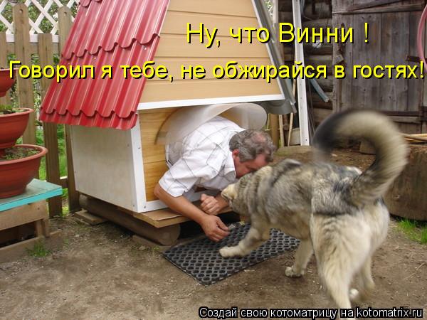 Котоматрица: Ну, что Винни ! Говорил я тебе, не обжирайся в гостях!