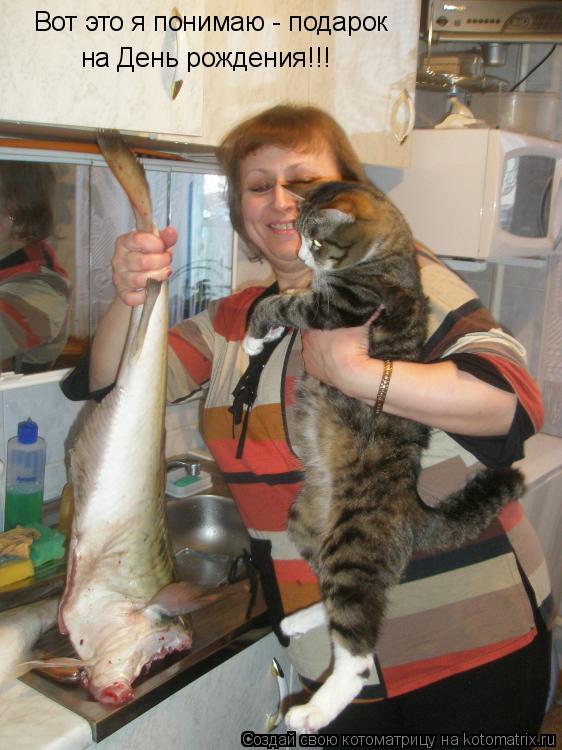 Котоматрица: Вот это я понимаю - подарок  на День рождения!!!