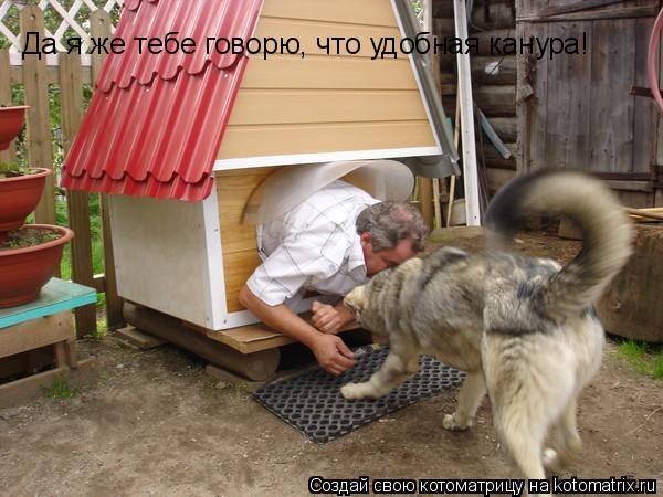 Котоматрица: Да я же тебе говорю, что удобная канура!