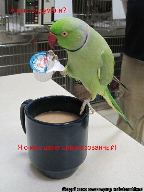 Котоматрица: А вы что думали?! Я очень даже цивилизованный!