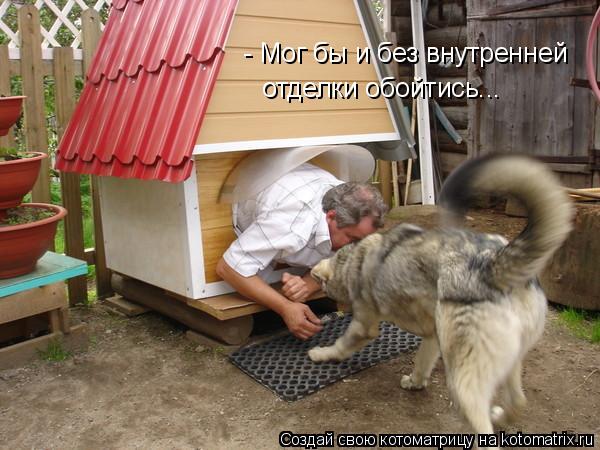 Котоматрица: - Мог бы и без внутренней  отделки обойтись...