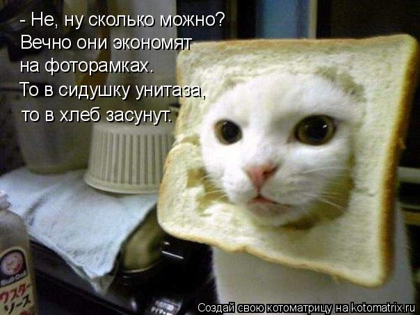 - Не, ну сколько можно? Вечно они экономят на фоторамках. То в сидушку унитаза, то в хлеб засунут.... Котоматрица: - Не, ну сколько можно? Вечно они экономят на фоторамках. То в сидушку унитаза, то в хлеб засунут.