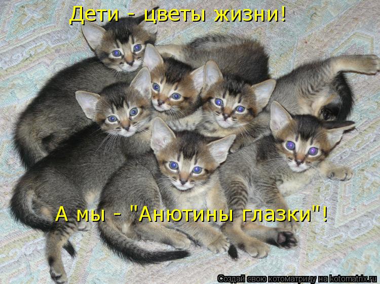 Дети - цветы жизни! А мы - "Анютины глазки"!... Котоматрица: Дети - цветы жизни! А мы - "Анютины глазки"!
