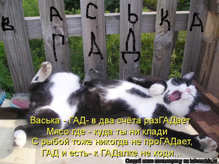 Васька - ГАД- в два счёта разГАДает Мясо где - куда ты ни клади С рыбой тоже никогда не проГАДает, Г... Котоматрица: Васька - ГАД- в два счёта разГАДает Мясо где - куда ты ни клади С рыбой тоже никогда не проГАДает, ГАД и есть- к ГАДалке не ходи...