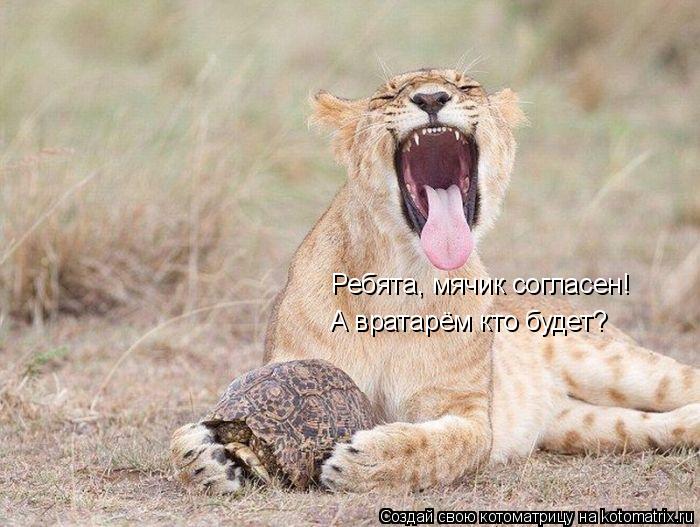 Ребята, мячик согласен! Ребята, мячик согласен! Ребята, мячик согласен! А вратарём кто будет?... Котоматрица: Ребята, мячик согласен! Ребята, мячик согласен! Ребята, мячик согласен! А вратарём кто будет?