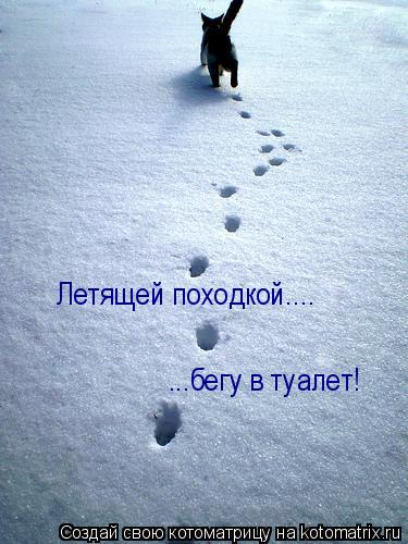 Летящей походкой.... ...бегу в туалет!... Котоматрица: Летящей походкой.... ...бегу в туалет!