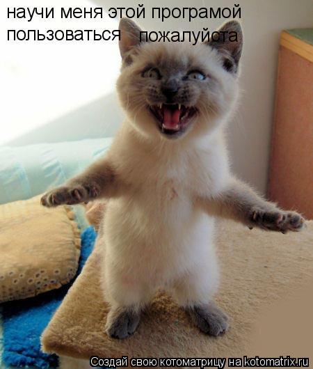 научи меня этой програмой пользоваться пожалуйста... Котоматрица: научи меня этой програмой пользоваться пожалуйста