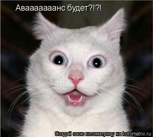 Авааааааанс будет?!?!... Котоматрица: Авааааааанс будет?!?!