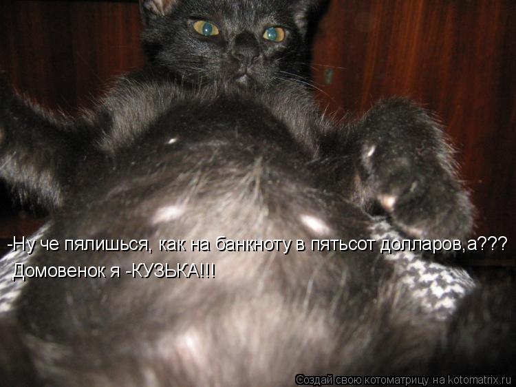 -Ну че пялишься, как на банкноту в пятьсот долларов,а??? Домовенок я -КУЗЬКА!!!... Котоматрица: -Ну че пялишься, как на банкноту в пятьсот долларов,а??? Домовенок я -КУЗЬКА!!!
