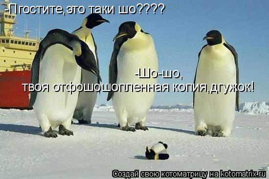 -Пгостите,это таки шо???? -Шо-шо,твоя отфотошопленная копия,дгужок! -Шо-шо, твоя отфошошопленная копи... Котоматрица: -Пгостите,это таки шо???? -Шо-шо,твоя отфотошопленная копия,дгужок! -Шо-шо, твоя отфошошопленная копия,дгужок!
