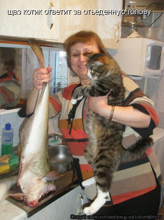 щаз котик ответит за отьеденную голову ..... Котоматрица: щаз котик ответит за отьеденную голову ..