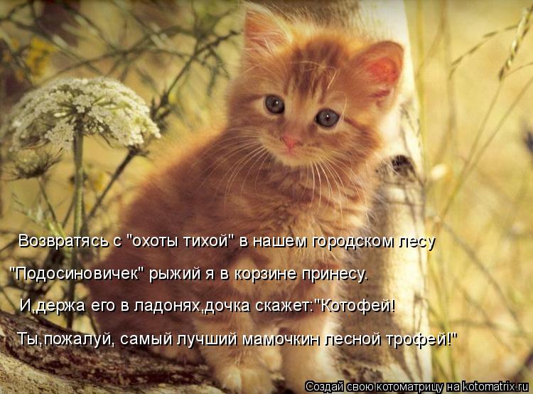 Ты,пожалуй, самый лучший мамочкин лесной трофей!" И,держа его в ладонях,дочка скажет:"Котофей! "Подос... Котоматрица: Ты,пожалуй, самый лучший мамочкин лесной трофей!" И,держа его в ладонях,дочка скажет:"Котофей! "Подосиновичек" рыжий я в корзине принесу. Возв