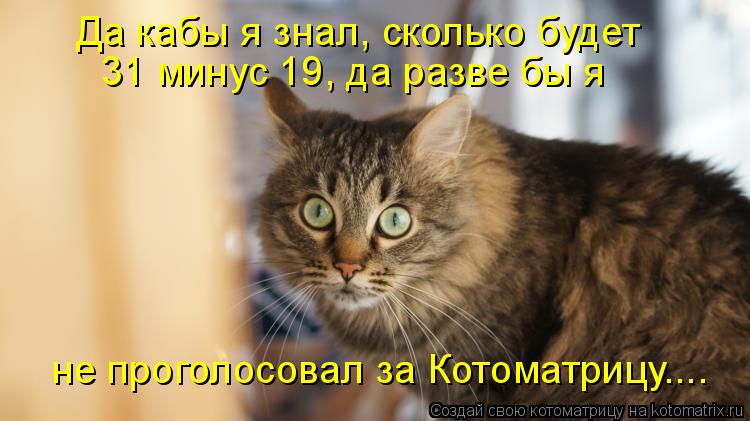 Да кабы я знал, сколько будет 31 минус 19, да разве бы я не проголосовал за Котоматрицу....... Котоматрица: Да кабы я знал, сколько будет 31 минус 19, да разве бы я не проголосовал за Котоматрицу....