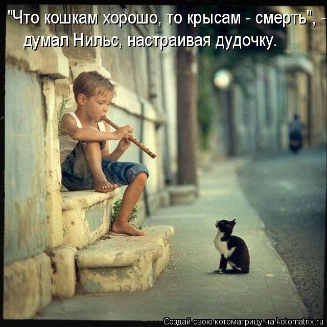 "Что кошкам хорошо, то крысам - смерть", - думал Нильс, настраивая дудочку.... Котоматрица: "Что кошкам хорошо, то крысам - смерть", - думал Нильс, настраивая дудочку.