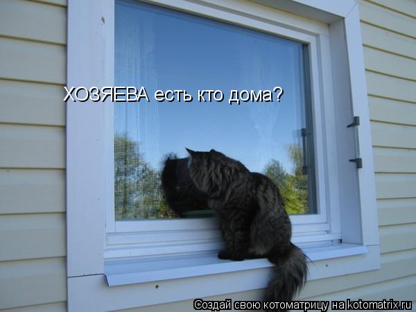 ХОЗЯЕВА есть кто дома?... Котоматрица: ХОЗЯЕВА есть кто дома?