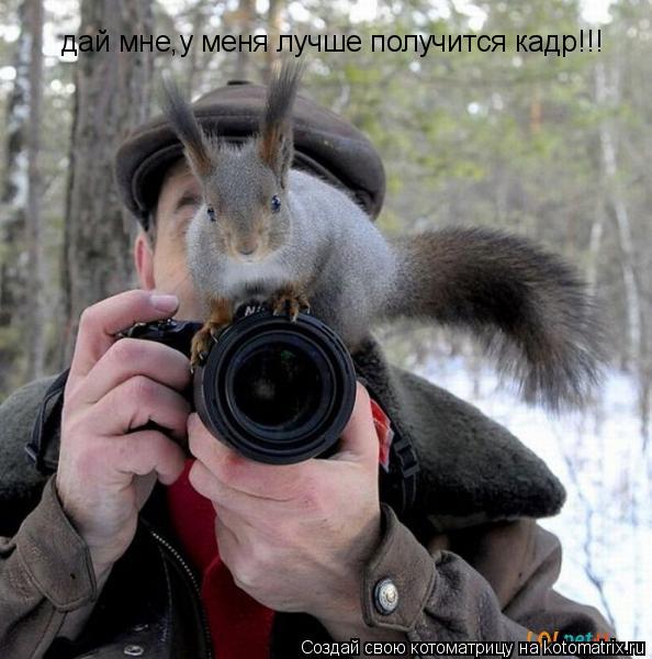 дай мне,у меня лучше получится кадр!!!... Котоматрица: дай мне,у меня лучше получится кадр!!!