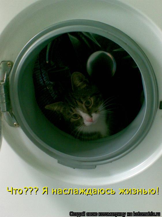 Что??? Я наслаждаюсь жизнью!... Котоматрица: Что??? Я наслаждаюсь жизнью!