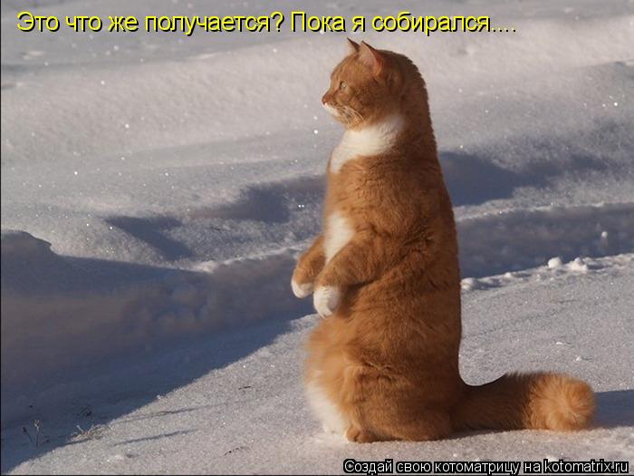 Котоматрица: Это что же получается? Пока я собирался....