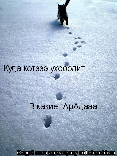 Куда котэээ ухооодит... В какие гАрАдааа......... Котоматрица: Куда котэээ ухооодит... В какие гАрАдааа......