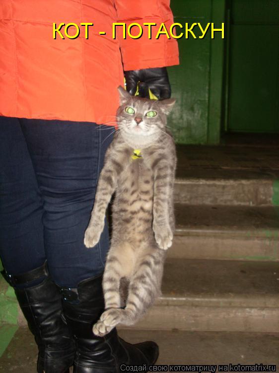 КОТ - ПОТАСКУН... Котоматрица: КОТ - ПОТАСКУН