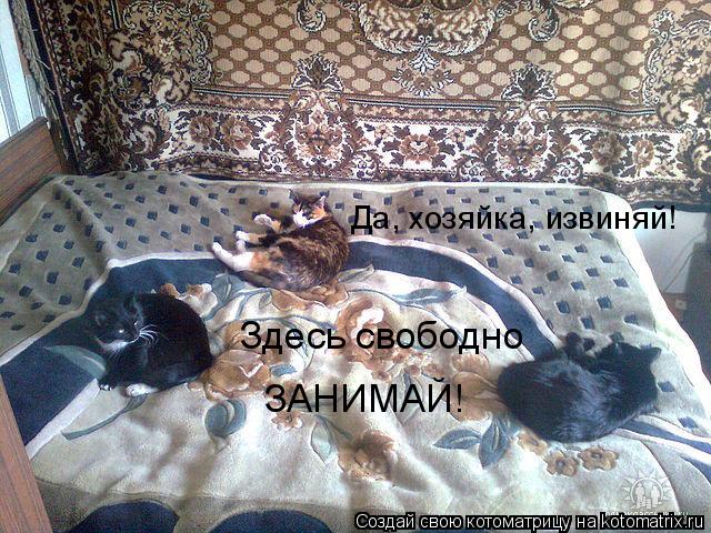 Да, хозяйка, извиняй! Здесь свободно ЗАНИМАЙ!... Котоматрица: Да, хозяйка, извиняй! Здесь свободно ЗАНИМАЙ!