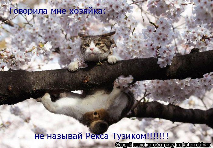 Говорила мне хозяйка: не называй Рекса Тузиком!!!!!!!... Котоматрица: Говорила мне хозяйка: не называй Рекса Тузиком!!!!!!!