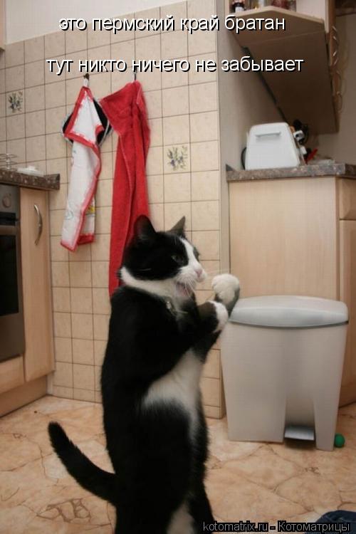 это пермский край братан тут никто ничего не забывает... Котоматрица: это пермский край братан тут никто ничего не забывает