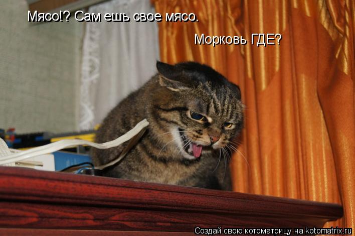 Мясо!? Сам ешь свое мясо. Мясо!? Сам ешь свое мясо. Морковь ГДЕ?... Котоматрица: Мясо!? Сам ешь свое мясо. Мясо!? Сам ешь свое мясо. Морковь ГДЕ?