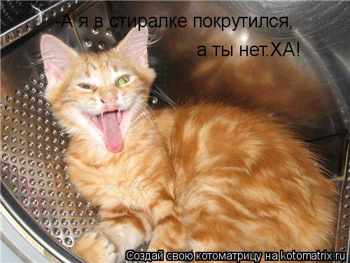 а ты нет.ХА! -А я в стиралке покрутился,... Котоматрица: а ты нет.ХА! -А я в стиралке покрутился,