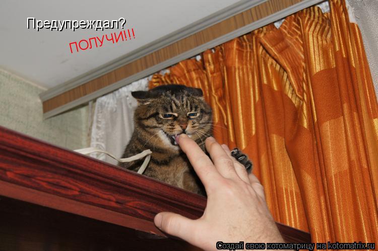 Предупреждал? ПОЛУЧИ!!!... Котоматрица: Предупреждал? ПОЛУЧИ!!!