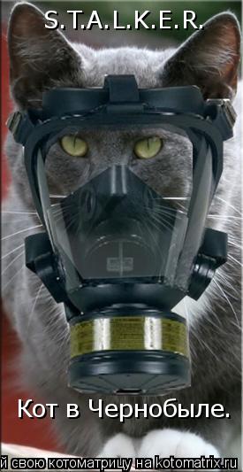 S.T.A.L.K.E.R. Кот в Чернобыле.... Котоматрица: S.T.A.L.K.E.R. Кот в Чернобыле.