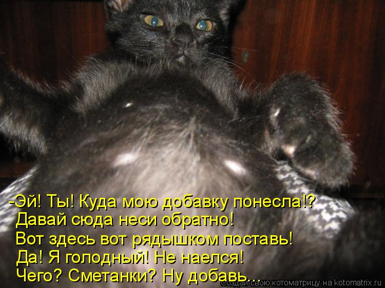 Да! Я голодный! Не наелся! Вот здесь вот рядышком поставь! Давай сюда неси обратно! -Эй! Ты! Куда мо... Котоматрица: Да! Я голодный! Не наелся! Вот здесь вот рядышком поставь! Давай сюда неси обратно! -Эй! Ты! Куда мою добавку понесла!? Чего? Сметанки? Ну добав